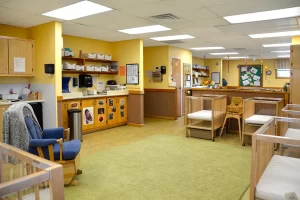 Photo Gallery: Learning Paths Academy Leavells - Learning Paths Academy